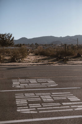  Kazim Gunyar Photographer & Director